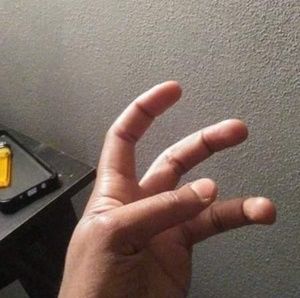 Meet your Posher, Bowman